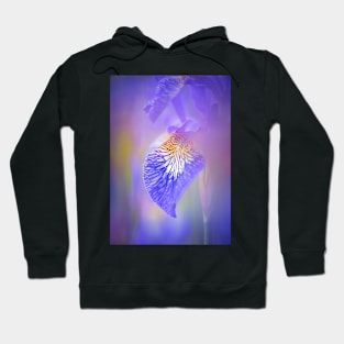 Iris flowers Hoodie